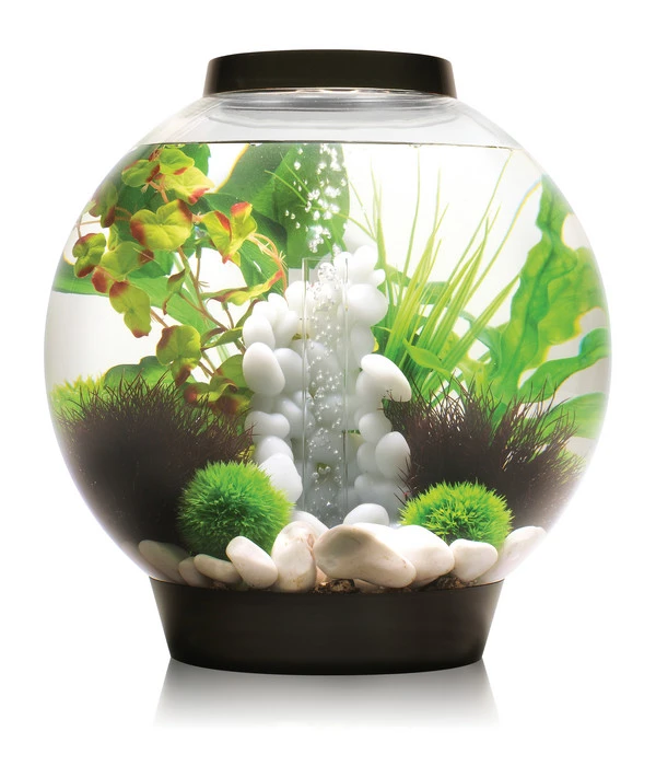 BiOrb® Aquarium CLASSIC 30 LED 1 BiOrb® Aquarium CLASSIC 30 LED