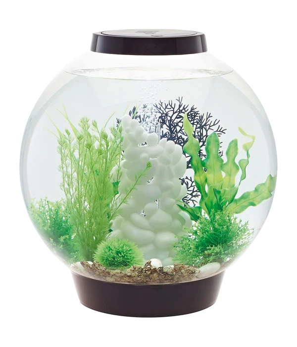 BiOrb® Aquarium CLASSIC 30 LED 2 BiOrb® Aquarium CLASSIC 30 LED – Bild 2