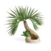BiOrb® Aquariumdeko Palme Seychellen