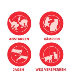 FELIWAY® Alltagshelfer Friends Start-Set -Heimtier Verkauf 4477311 4477329 WE D 001 CevaFeliwayFriends