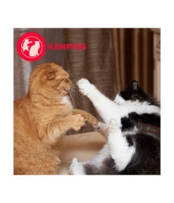 FELIWAY® Alltagshelfer Friends Start-Set -Heimtier Verkauf 4477311 4477329 WE D 005 CevaFeliwayFriends