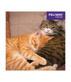 FELIWAY® Alltagshelfer Friends Start-Set -Heimtier Verkauf 4477311 4477329 WE D 008 CevaFeliwayFriends
