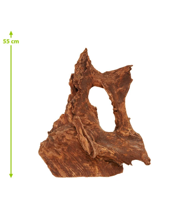 Dehner Aqua Mangrovenwurzel Large 2 Dehner Aqua Mangrovenwurzel Large – Bild 2