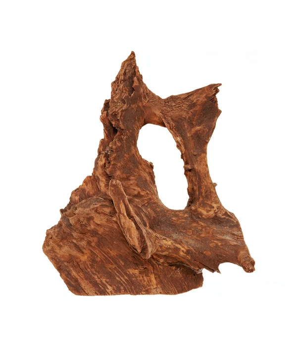 Dehner Aqua Mangrovenwurzel Large 1 Dehner Aqua Mangrovenwurzel Large