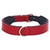HUNTER® Hundehalsband Basic, Rot/schwarz