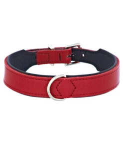 HUNTER® Hundehalsband Basic, Rot/schwarz