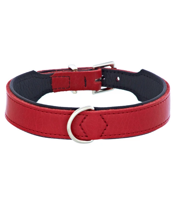 HUNTER® Hundehalsband Basic, Rot/schwarz 1 HUNTER® Hundehalsband Basic, Rot/schwarz