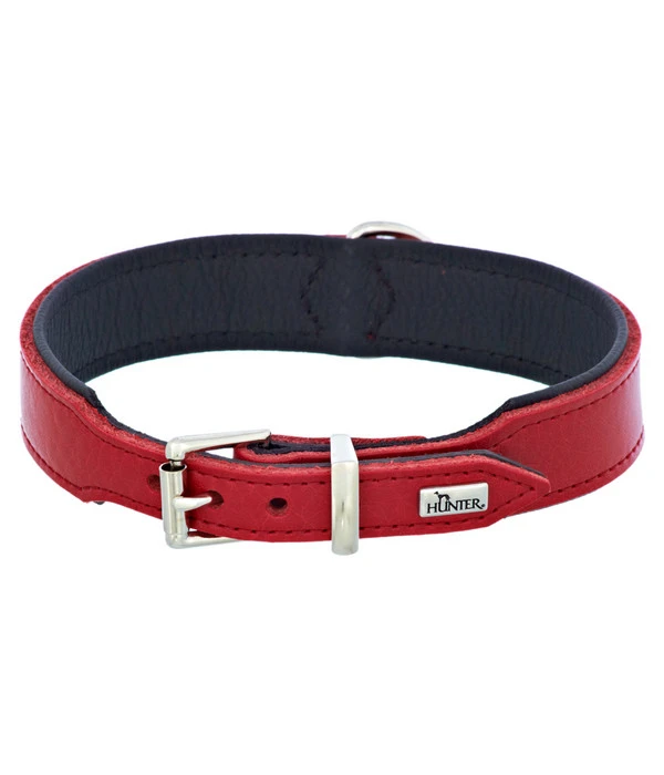 HUNTER® Hundehalsband Basic, Rot/schwarz 2 HUNTER® Hundehalsband Basic, Rot/schwarz – Bild 2