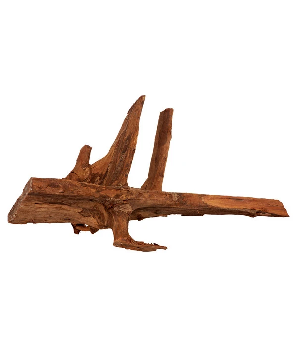 Amtra Mangrovenholz XL, 70 - 100cm 1 Amtra Mangrovenholz XL, 70 - 100cm