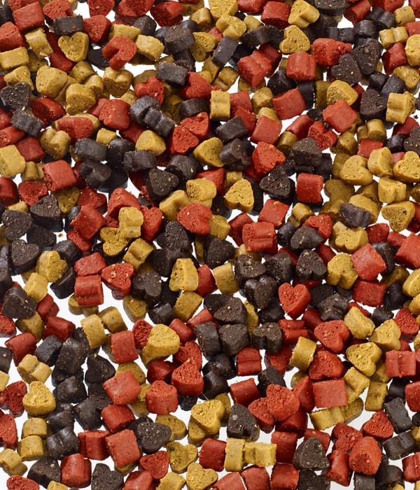 Dehner Lieblinge Hundesnack Snack-Spaß Trainer Hearts, 500 G 2 Dehner Lieblinge Hundesnack Snack-Spaß Trainer Hearts, 500 G – Bild 2