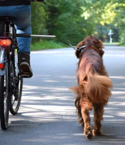 Dobar Petlife Fahrradleine Walky Dog Plus -Heimtier Verkauf 6689699 WE MO 004 DobarHZbhWalkyDogPlusFahrradstangeLeine