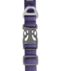 RUFFWEAR® Hundehalsband Front Range™ -Heimtier Verkauf 6717383 6718456 6718464 WE DE 001 RWFrontRangeCollarPurpleSage
