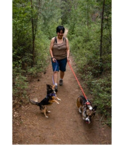 RUFFWEAR® Hundehalsband Front Range™ -Heimtier Verkauf 6717383 6718456 6718464 WE MO 003 RWFrontRangeCollarPurpleSage