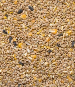 Dehner Best Nature Hühnerfutter Bio Hennenkorn 5 Dehner Best Nature Hühnerfutter Bio Hennenkorn -Heimtier Verkauf 6730253 WE D 001 BNHuehnerfutterHennenkorn2kg