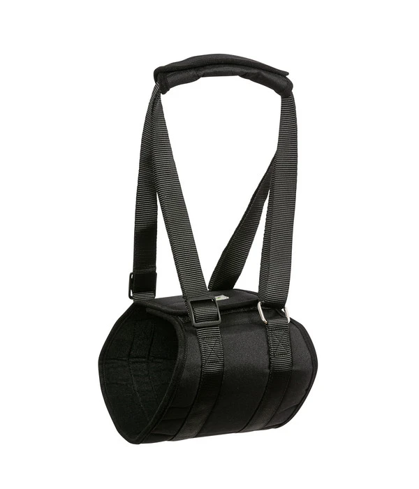 Dehner Lieblinge Tragehilfe Für Hunde 2 Dehner Lieblinge Tragehilfe Für Hunde – Bild 2