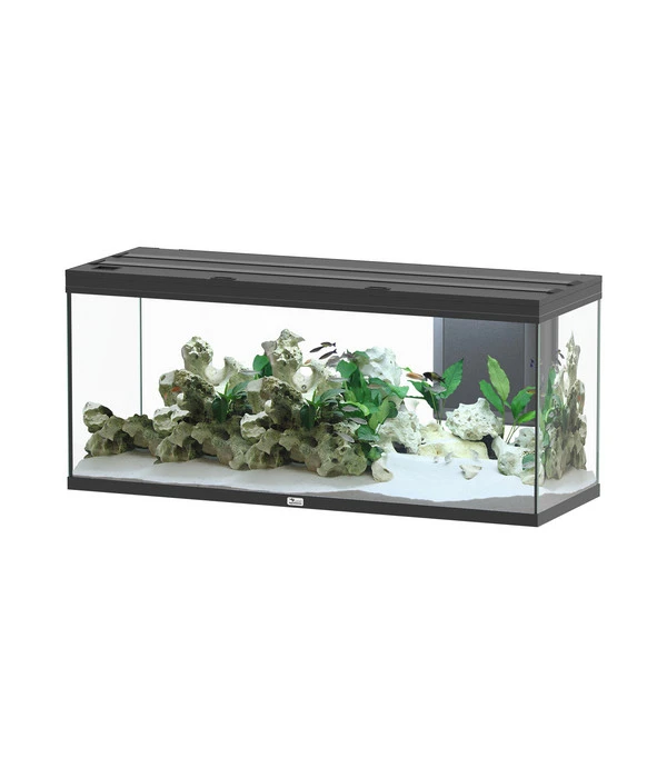 Aquatlantis Aquarium Volga 450 1 Aquatlantis Aquarium Volga 450