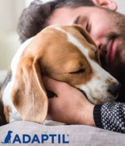 ADAPTIL® Calm Halsband Für Hunde -Heimtier Verkauf 6877104 6877146 WE DE 002 CevaHZbhAdaptilCalmHalsband