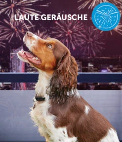 ADAPTIL® Calm Halsband Für Hunde -Heimtier Verkauf 6877104 6877146 WE DE 004 CevaHZbhAdaptilCalmHalsband