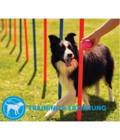 ADAPTIL® Calm Halsband Für Hunde -Heimtier Verkauf 6877104 6877146 WE DE 006 CevaHZbhAdaptilCalmHalsband