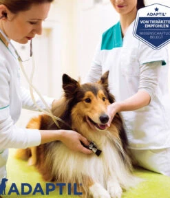 ADAPTIL® Calm Halsband Für Hunde -Heimtier Verkauf 6877104 6877146 WE DE 007 CevaHZbhAdaptilCalmHalsband