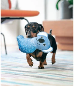 Red Dingo Hundespielzeug DURABLES Toys Koala -Heimtier Verkauf 6912281 WE MO 001 RedDingoSpzKoala