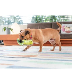 Red Dingo Hundespielzeug DURABLES Toys Krokodil -Heimtier Verkauf 6912364 WE MO 002 RedDingoSpzKrokodil