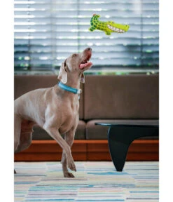 Red Dingo Hundespielzeug DURABLES Toys Krokodil -Heimtier Verkauf 6912364 WE MO 003 RedDingoSpzKrokodil