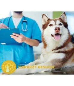 ADAPTIL® Transport Spray Für Hunde -Heimtier Verkauf 6914733 6914691 WE MO 002 AdaptilCalmTransportSpray