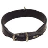 HUNTER® Hundehalsband Basic, Schwarz