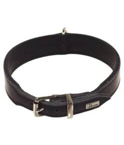 HUNTER® Hundehalsband Basic, Schwarz