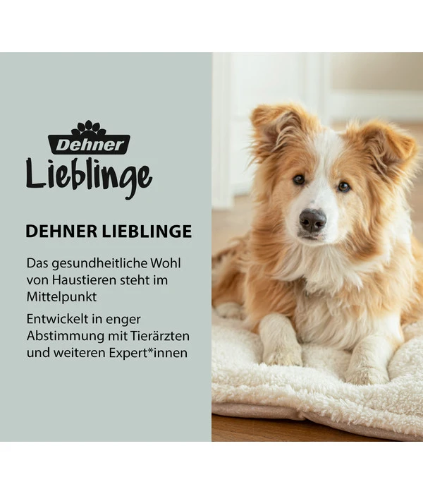Dehner Lieblinge Tragehilfe Für Hunde 3 Dehner Lieblinge Tragehilfe Für Hunde – Bild 3