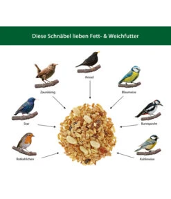 Dehner Natura Fett- Und Weichfutter -Heimtier Verkauf WE IG 001 DehnerNaturaWelcherVogelfrisstFettWeichfutter