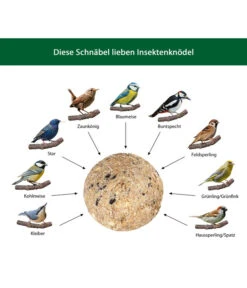 Dehner Natura Insekten-Knödel, Ohne Netz, 100 Stk. Je 100 G -Heimtier Verkauf WE IG 001 DehnerNaturaWelcherVogelfrisstInsektenknoedel