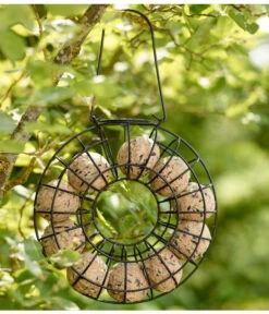 Dehner Natura Befüllter Meisenknödelring -Heimtier Verkauf X005458310 BildFS 002 DehnerNaturaMeisenknoedelringFruehling